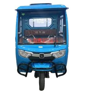 Triciclos Eléctricos de Carga con Motor de 1000W, Certificados para Uso de Pasajeros, Opciones de 48v y 72v - Product Image 1