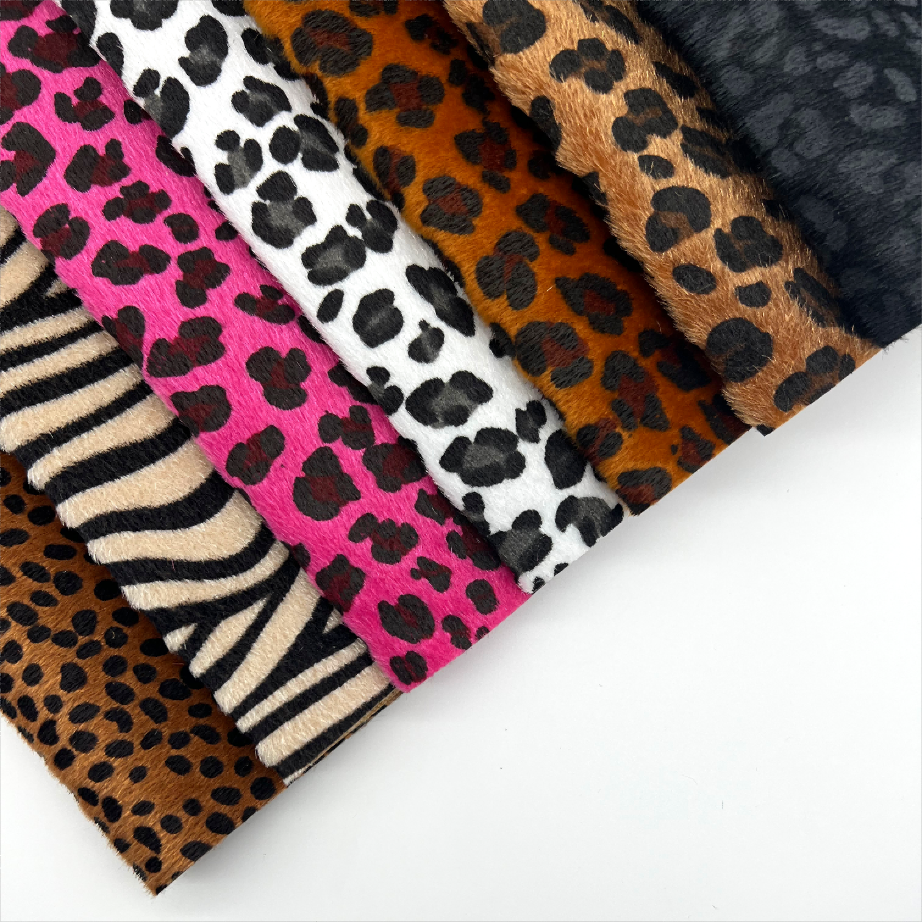 Animal colorful