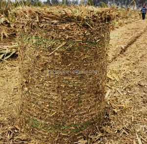 Presse à balles et ensacheuse combinées pour tracteur, avec fonction de récolteuse d'herbe, de coupe et de balles. - Product Image 6