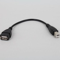 Kabel Adaptor USB 2.0 OEM dengan Selubung PVC, Female B Male, Konduktor Tembaga Murni 1-2A, Cetakan Khusus untuk Ponsel, Printer, Scanner
