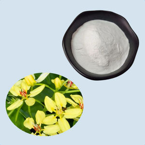 Поставка высококачественного порошка экстракта 10:1 галфимии глауки - Product Image 1