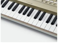 Hot Selling Musical Instruments Portable Piano Keyboard Electronic Organ 61 Key Electronic Keyboards for Kids Student