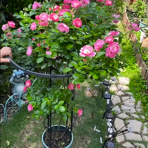 110-215 Cm Thiết Kế Mới Kim Loại + PE Tráng Nhà Máy Hỗ Trợ Cho Hoa Hồng Cà Chua Và Rau Ngoài Trời Vườn Ô Leo Núi Trellis - Product Image 4