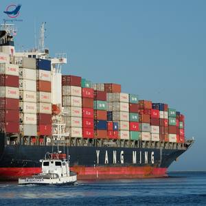 Профессиональный DDP DDU от двери до двери море воздушная логистика доставка Китайский экспедитор безопасный агент в Индию Пакистан - Product Image 3