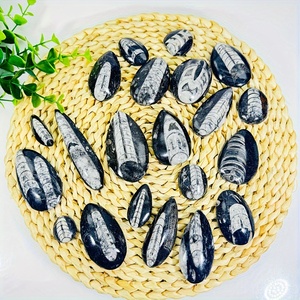 Piedra de Trilobita Artificial al por Mayor, Hermosos Patrones para Decoración de Habitaciones y Escritorios, Espécimen de Ciencia Geológica - Product Image 3