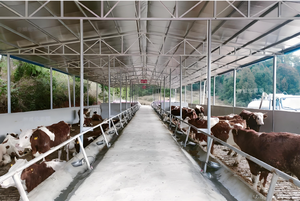 โครงสร้างเหล็กคุณภาพสูง ทนทาน <span class=keywords><strong>ราคา</strong></span>ประหยัด สำหรับฟาร์มโค ขายส่ง - Product Image 5