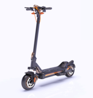 Trottinette électrique pliable de 10 pouces pour adultes, pratique pour la conduite debout, avec moteur de 800 W, capteur intelligent, charge maximale de 120 kg