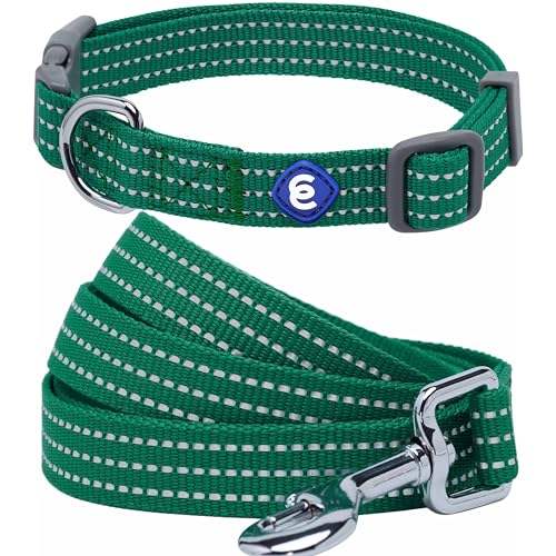 Dark Green - Collar + Leash