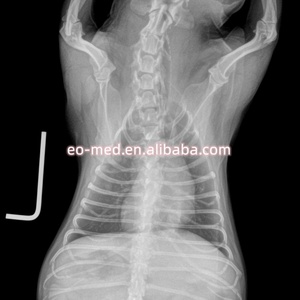 Système de radiographie numérique mobile C-Arm 5 kW 100 mA pour clinique vétérinaire, appareil de radiographie C-Arm, scanner à rayons X VXM1120 - Product Image 6