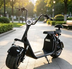Scooter de 2000W con Certificación EEC COC, Disponible en Fábrica, Autonomía de 40-60 km - Product Image 6