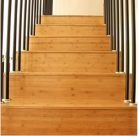 Plancher et lames d'escalier en bambou contrecollé horizontal avec surface légèrement carbonisée, garantie 1 an