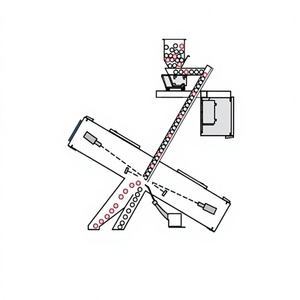 Kleursorteermachine voor rijst, koffiebonen & zaden - AGR merk, hoge nauwkeurigheid (>99,99%) met meerdere maten beschikbaar - Product Image 5