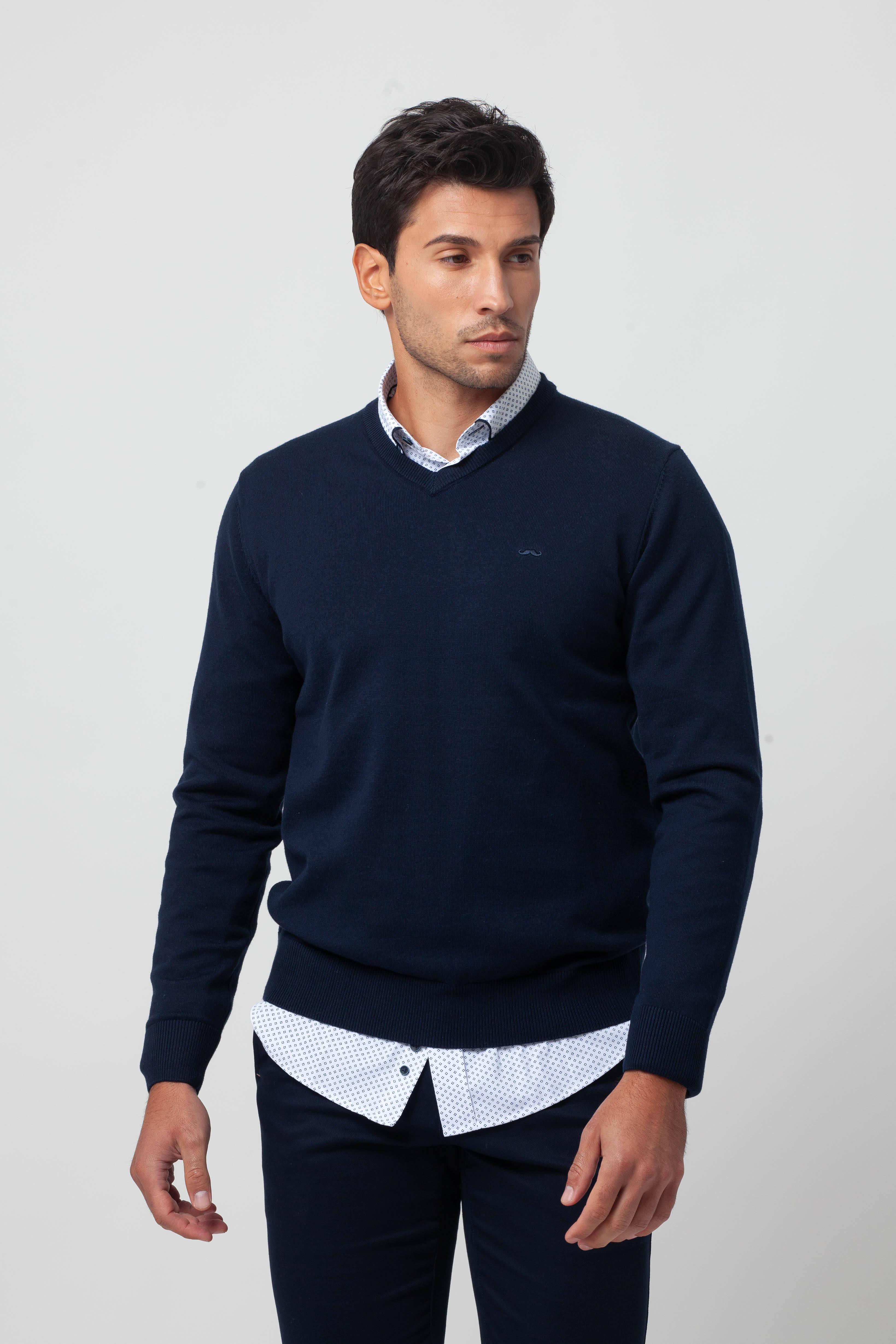 สีกรมท่า