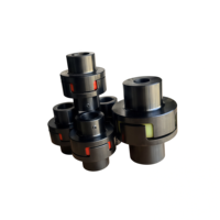OEM ODM Supérieur 45 #   Accouplement flexible à mâchoires en acier trempé, alésage 30 mm, 3000 tr/min, couple 2000 N-m, marque SFS