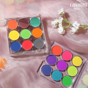 Nouvelle palette de dégradé pour nail art, poudre solide, paillettes, pigment, poudre miroir, 9 couleurs/ensemble, nail art - Product Image 5