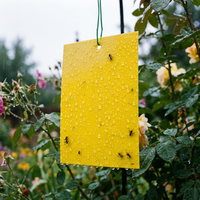 Kleefpapierrol voor vliegende insecten, niet-toxisch, voorgevild, wegwerpbaar, ongediertebestrijding, groothandel