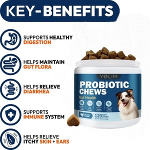 Giá bán buôn giúp giảm bớt khó chịu dạ dày vật nuôi chăm sóc sức khỏe & Bổ sung Probiotics cho chó với enzyme pha trộn - Product Image 2