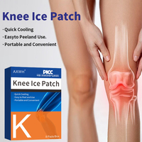 Patch corporel à l'extrait de menthe hydrogel 10x14cm pour adultes, action rapide, soulagement de la douleur musculaire, hypoallergénique, CE/ISO, soins de santé