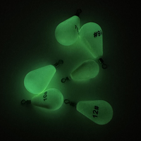 Plomb lumineux avec coque en plastique souple 30g 60g 75g 112g 131g 150g Poids de plomb