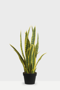 Planta <span class=keywords><strong>de</strong></span> serpiente Artificial <span class=keywords><strong>de</strong></span> imitación para decoración interior y exterior, plantas <span class=keywords><strong>de</strong></span> serpiente con tacto Real, para la <span class=keywords><strong>lengua</strong></span> <span class=keywords><strong>de</strong></span> la madre en la ley, suculenta, <span class=keywords><strong>Sansevieria</strong></span> - Product Image 2