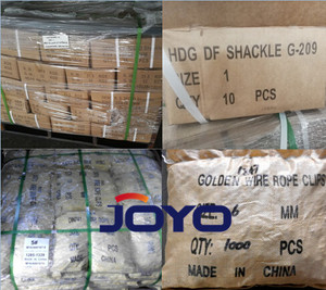 Aparejo de alta calidad Din1142 clip de cuerda de alambre galvanizado amarillo, ISO9001 - Product Image 6