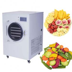 Mini congélateur domestique de grande capacité pour fruits, viande, légumes, déshydrateur par congélation sous vide - Product Image 5