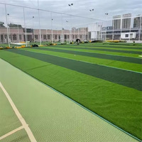 XPE Material 10mm coussins d'amortisseur sous-couche de gazon synthétique coussin de choc pour terrain de football