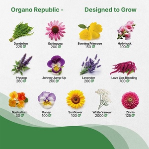 Producto al por Mayor 100% Orgánico Certificado por el USDA, Caléndula, Nasturtium, Flor de Estrella, Menta Limón, Flor Comestible, Kit de Herramientas, Material Digital - Product Image 6