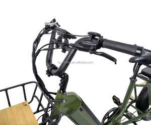 QUEENE/2025 vélo cargo électrique Ebike e-cargo <span class=keywords><strong>famille</strong></span> meilleure vente ville vélo électrique ville femmes ue entrepôt E vélo - Product Image 4