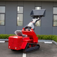 Nouvelle chargeuse compacte sur chenilles Tongdagongjiang T490 à moteur diesel, certifiée EPA CE, capacité de la benne de 0,1 m³