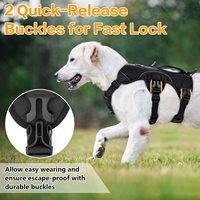 Harnais anti-fuite pour chien, harnais rembourré doux pour animaux de compagnie, gilet réfléchissant réglable sans traction avec poignée de levage et Lesh