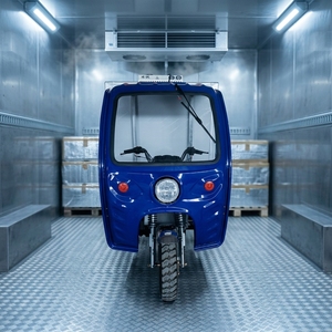 Tricycle frigorifique à gaz à 3 roues <span class=keywords><strong>pour</strong></span> le transport froid fiable de marchandises en zone rurale et urbaine - Product Image 1