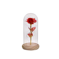 Geconserveerde bloemen glazen stolp met bladgoud rozen, verlichte eeuwige rozen, Moederdag, Kerstmis, Valentijnsdag, creatief cadeau