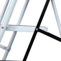 Échelle en acier à 2-6 marches, capacité de charge de 150 kg, design antirouille, utilisation domestique, avec marches antidérapantes et système de sécurité