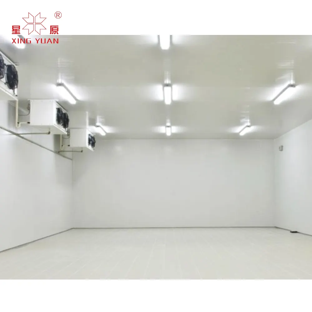 Fabricante de China Proyecto de Construcción de sala de refrigeración congelador cámara fría 10x10 para flores sala de almacenamiento en frío