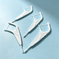 OEM Ortho Flosser Dentaire Soins Bucco-dentaires Bâton Menthe Noix de Coco Dents Cure-dents Fil Orthodontique Pics