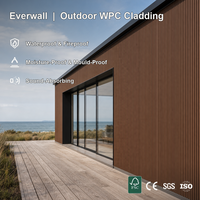 Revêtement mural WPC Everwall économique et léger, panneau extérieur durable avec design pré-percé