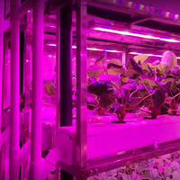 Maison préfabriquée en conteneur maritime, ferme en conteneur maritime, ferme verticale de fraises, système de culture hydroponique, ferme intelligente
