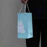 Taza de agua de cartón de Color sólido, bolsa de mano, taza termo y bolsa de regalo de cigarrillos para cumpleaños/embalaje de cartón de negocios