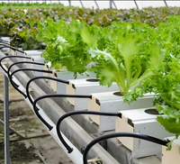 Système hydroponique NFT Agriculture plantation Tube en PVC personnalisé, Serre agricole du système hydroponique Nft
