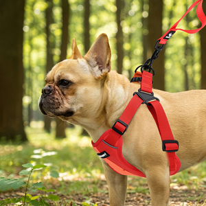 Nuevo Arnés para Perro Personalizado de Doble Tono, Anti-Escape, Reflectante, Transpirable, con Malla, Chaleco de Entrenamiento <span class=keywords><strong>en</strong></span> Forma de Y para Pasear <span class=keywords><strong>Perros</strong></span> - Product Image 5