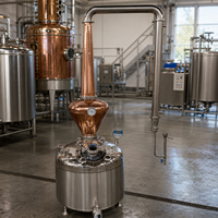 Equipo de Destilación de Alcohol Teve 200L para Whisky/Ron/Brandy, Destilador Continuo de Etanol para Uso Doméstico