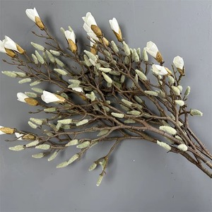Chất Lượng Cao Mô Phỏng Lụa Magnolias Cây Chi Nhánh Nhân Tạo Mộc Lan Hoa Nụ Gốc Cho Đám Cưới Trang Trí Nội Thất - Product Image 4