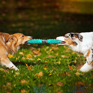 Jouets interactifs pour animaux de compagnie très demandés : bâton en TPR souple personnalisé anti-morsure, jouet à mâcher pour chien avec corde, brosse à dents double pour nettoyer les dents du chien - Product Image 3