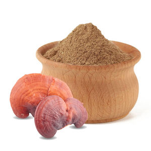 Бесплатный образец, лучшая цена, органический 98% экстракт гриба Рейши оптом, порошок Ганодермы Лусидум - Product Image 3