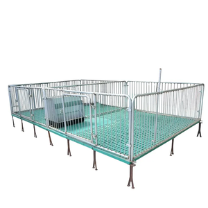 Cage <span class=keywords><strong>de</strong></span> maternité commerciale pour porcelets avec plancher BMC et mangeoire anti-diarrhée - Product Image 5