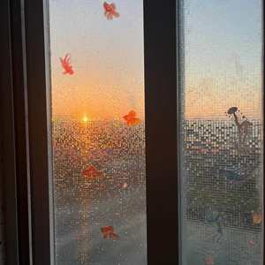 Pellicola per Vetri Quadrata a Cinque Colori Anti-Espulsione, per Bagno, Doccia, Finestra del WC, Privacy, Anti-Sbirciata, Elettrostatica - Product Image 1