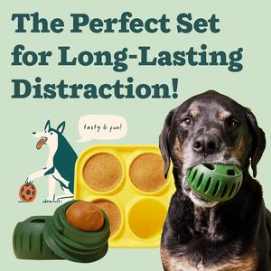 Jouet interactif longue durée pour chien, balle à friandises, jouet à lécher en silicone de qualité alimentaire écologique pour grands chiens - Product Image 2