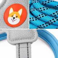 Ensemble de harnais et de laisse réfléchissants en forme d'étoile pour chien, kit pour animaux de compagnie doux et réglable pour chiens de petite et moyenne taille, chiots