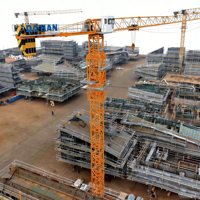 Düşük Fiyatlı 5ton 6ton İnşaat Kule Vinçleri Kendinden Yükselen 48m Serbest Yükseklik 63t.m 5013 Tip Kule Vinç CE Belgeli